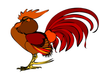 coq-rooster-orthodontie-sherbrooke