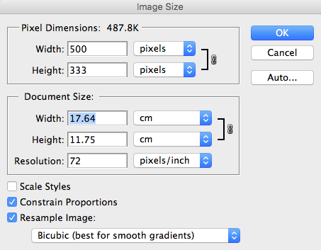 Propriétés d'une image optimisée pour le web. iMageiMage.ca 